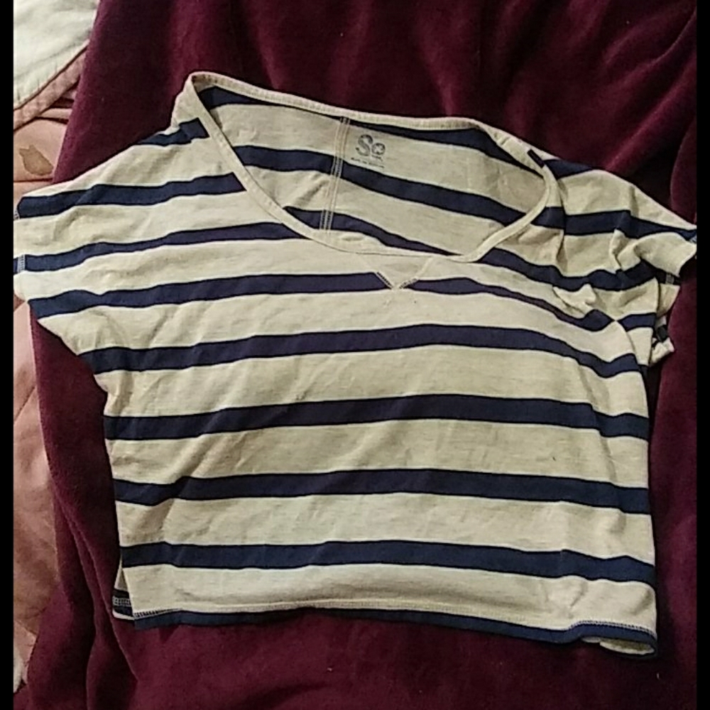 Large blue and white striped crop top
